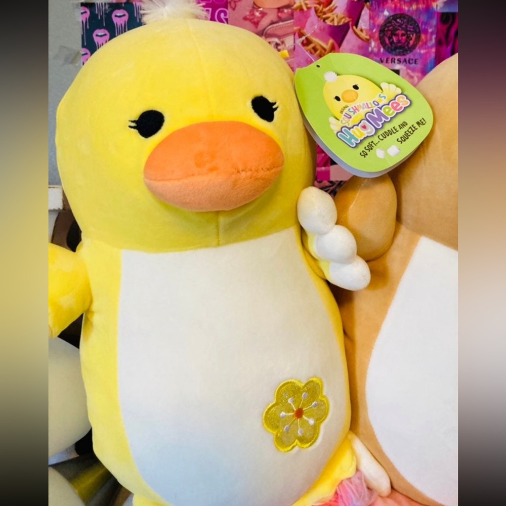 NWT Divina & Rito Hugmee Squishmallow RARE - Picture 2 of 5